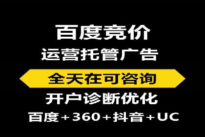 实战经验分享：SEO与SEM优化案例精选